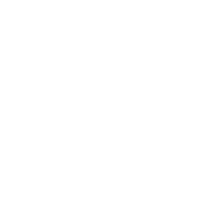 logo-des-arbeitgebers-leitwerk-consulting