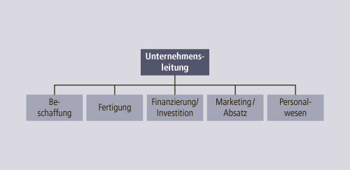 Funktionale Organisationsstruktur 