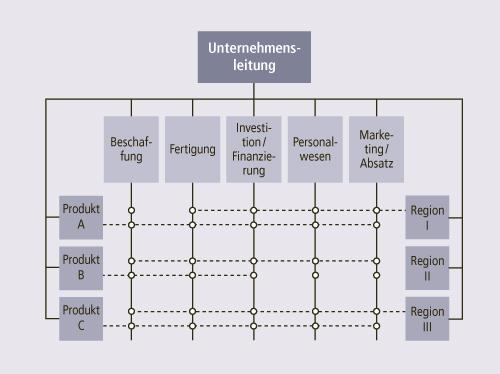 Grundmodell einer Tensor-Organisation
